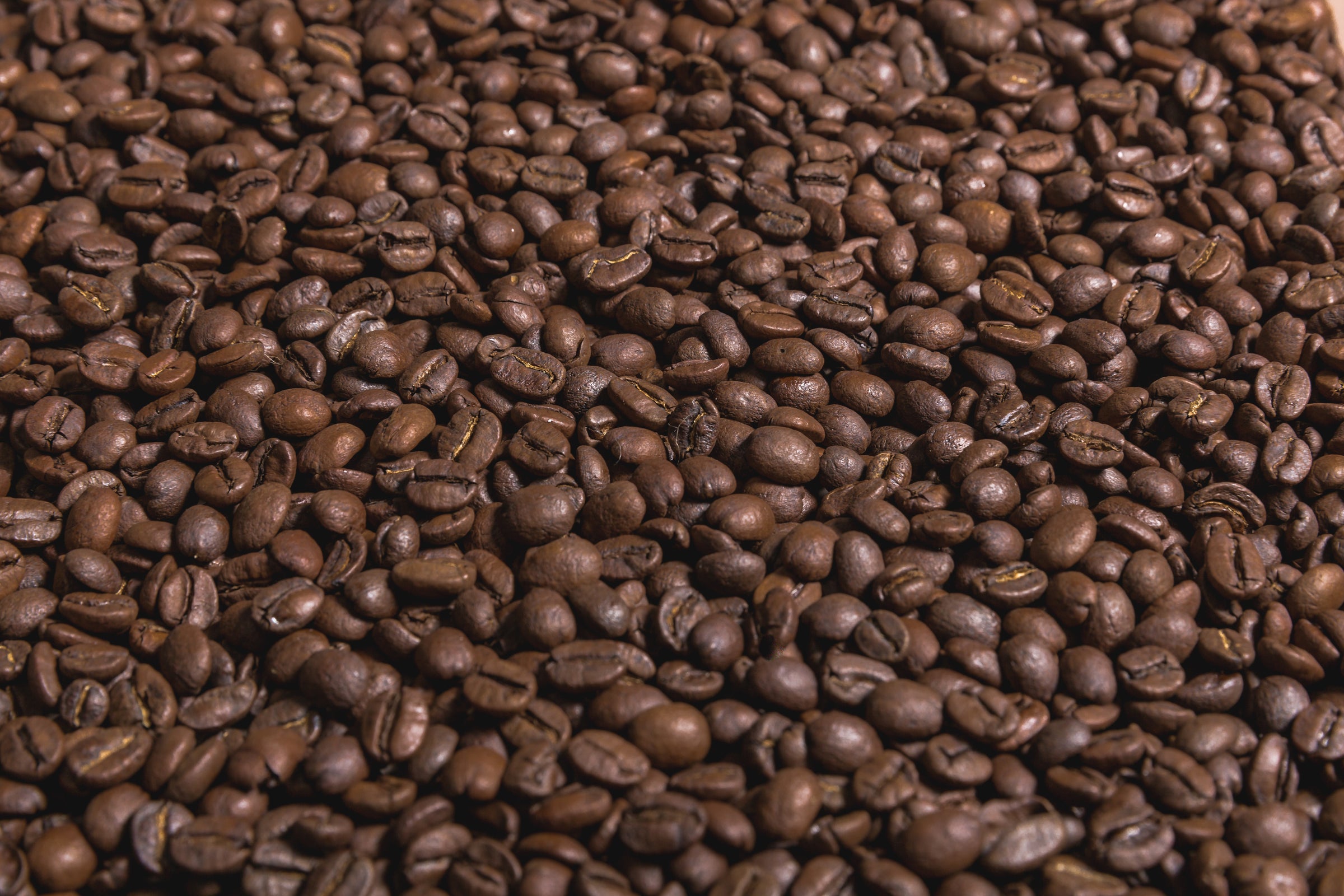 GoldSquare Bharatiya filter coffee